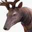 elk rigged animate 3d model