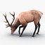 elk rigged animate 3d model
