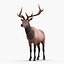 elk rigged animate 3d model