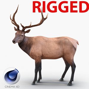 elk rigged animate 3d model