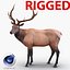 elk rigged animate 3d model