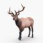 elk rigged animate 3d model