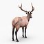 elk rigged animate 3d model