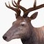 elk rigged animate 3d model