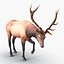 elk rigged animate 3d model