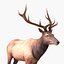 elk rigged animate 3d model