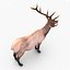 elk rigged animate 3d model