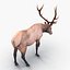 elk rigged animate 3d model