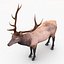 elk rigged animate 3d model