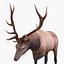 elk rigged animate 3d model