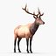 elk rigged animate 3d model
