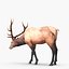 elk rigged animate 3d model