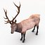 elk rigged animate 3d model