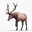 elk rigged animate 3d model