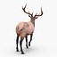 elk rigged animate 3d model