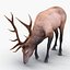 elk rigged animate 3d model