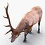 elk rigged animate 3d model