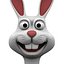 Hase