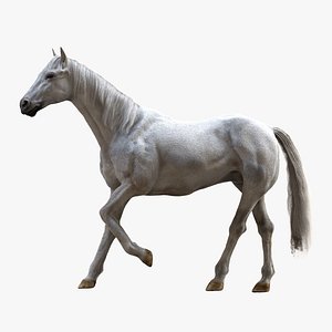 White Horse (Rigged)(1)