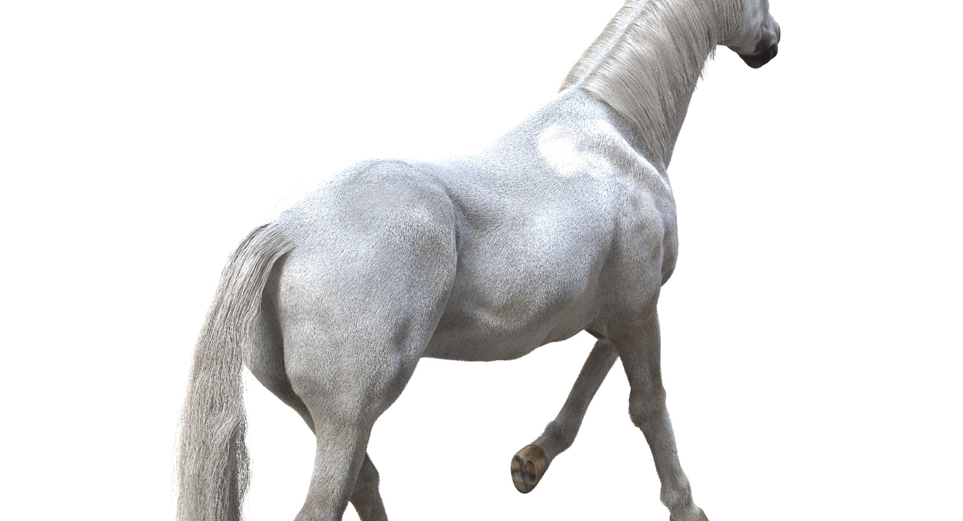 horse rigged 3D model https://p.turbosquid.com/ts-thumb/U8/tDn8B6/C4W8FBNP/22/jpg/1542524487/1920x1080/fit_q87/358a2c00670ea246783077889fcd6cfdc8ca5daf/22.jpg