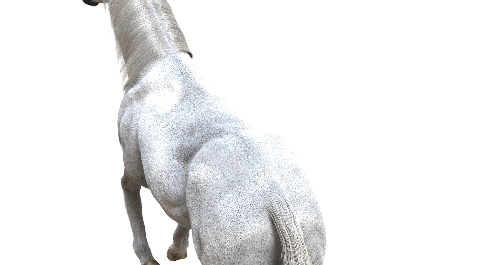 horse rigged 3D model https://p.turbosquid.com/ts-thumb/U8/tDn8B6/OrkIx8O6/14/jpg/1542524487/1920x1080/fit_q87/612e134cb2ad8840f27350a7a1dcaf9dfe3a39b0/14.jpg