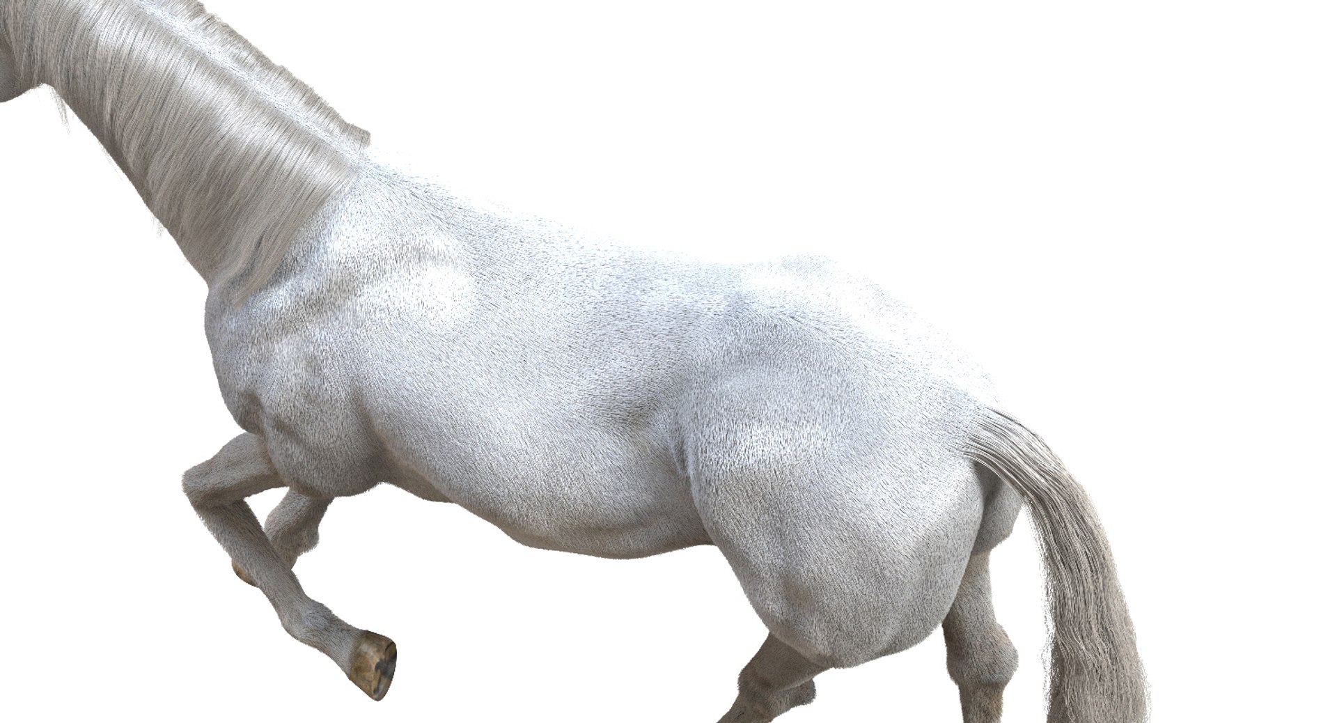 horse rigged 3D model https://p.turbosquid.com/ts-thumb/U8/tDn8B6/R5ShrWFx/08/jpg/1542524486/1920x1080/fit_q87/4441711df634264b5d2eac4ab7bb6aaa79dad08b/08.jpg