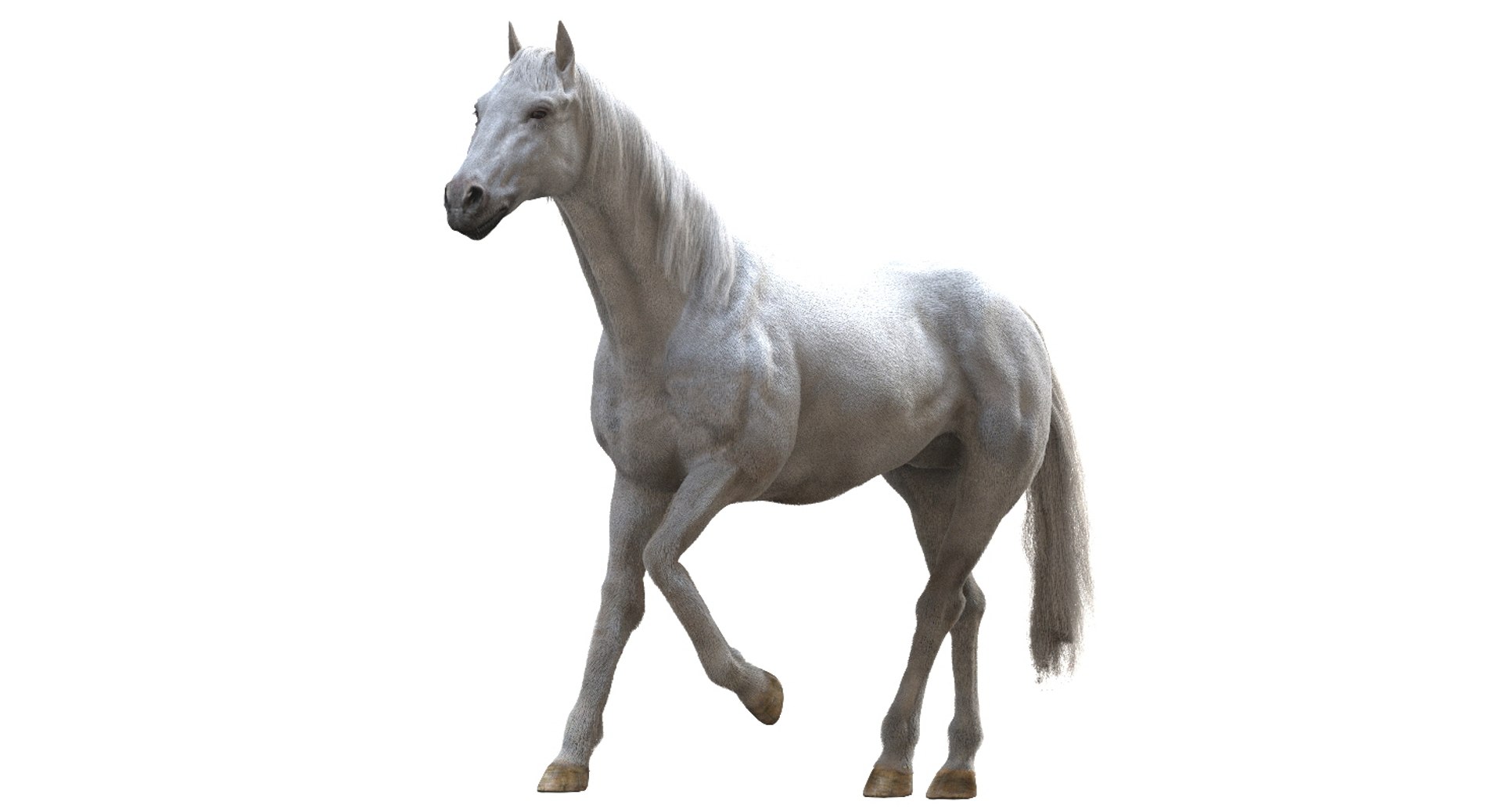 horse rigged 3D model https://p.turbosquid.com/ts-thumb/U8/tDn8B6/Z5wrKA1D/18/jpg/1542524487/1920x1080/fit_q87/b7067cfc5c9ad4badeabc216c7bec25dbf333f8e/18.jpg