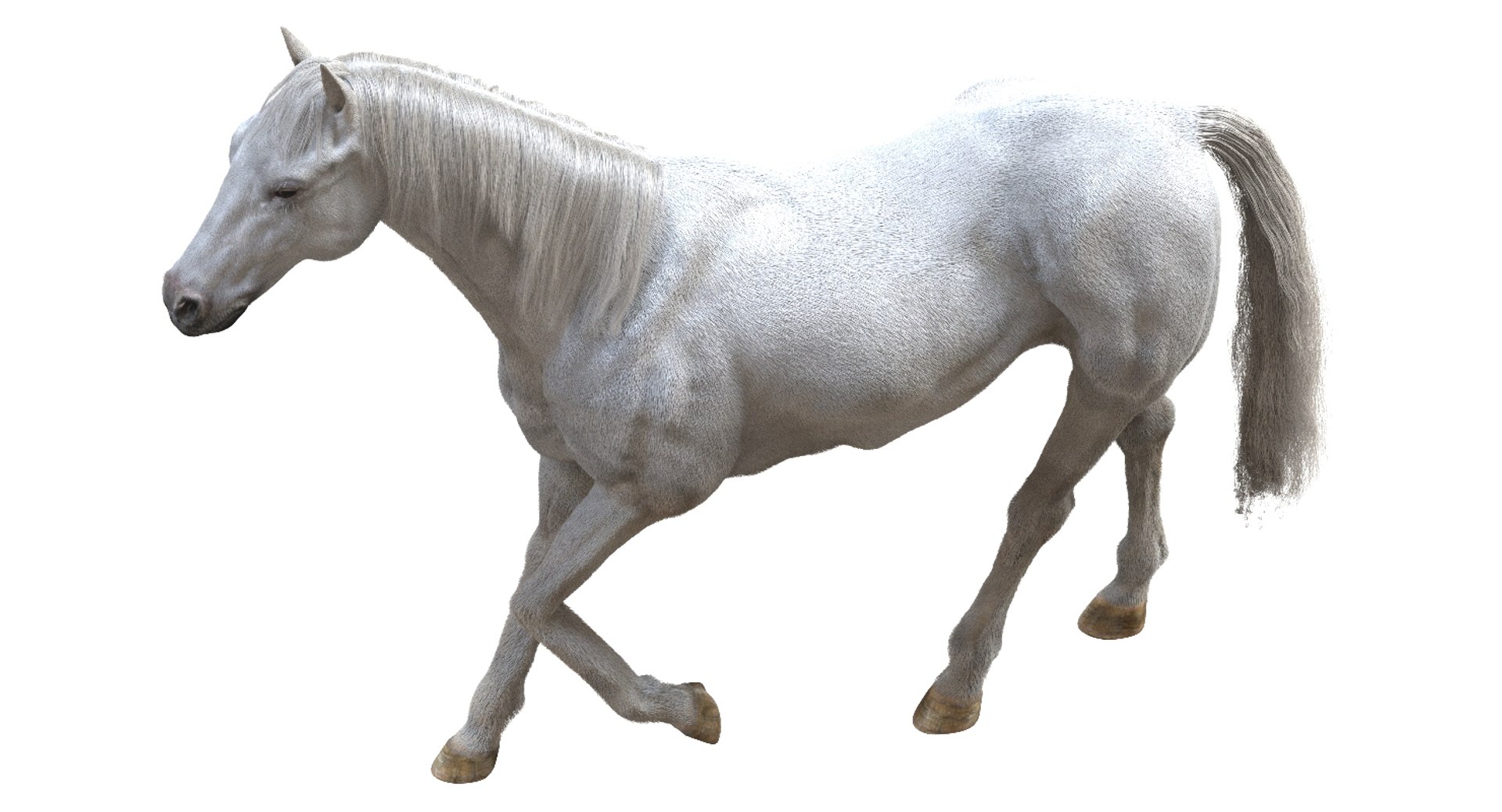 horse rigged 3D model https://p.turbosquid.com/ts-thumb/U8/tDn8B6/b3ejxLBp/06/jpg/1542524486/1920x1080/fit_q87/a63ad6c59d86b2e4b414bae395ef195d04b980e2/06.jpg