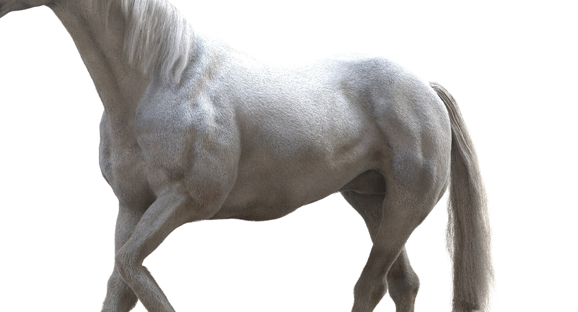 horse rigged 3D model https://p.turbosquid.com/ts-thumb/U8/tDn8B6/bix7f1IE/09/jpg/1542524487/1920x1080/fit_q87/ee4a14f646ea60ed7c212f68369f1413bc0326bc/09.jpg