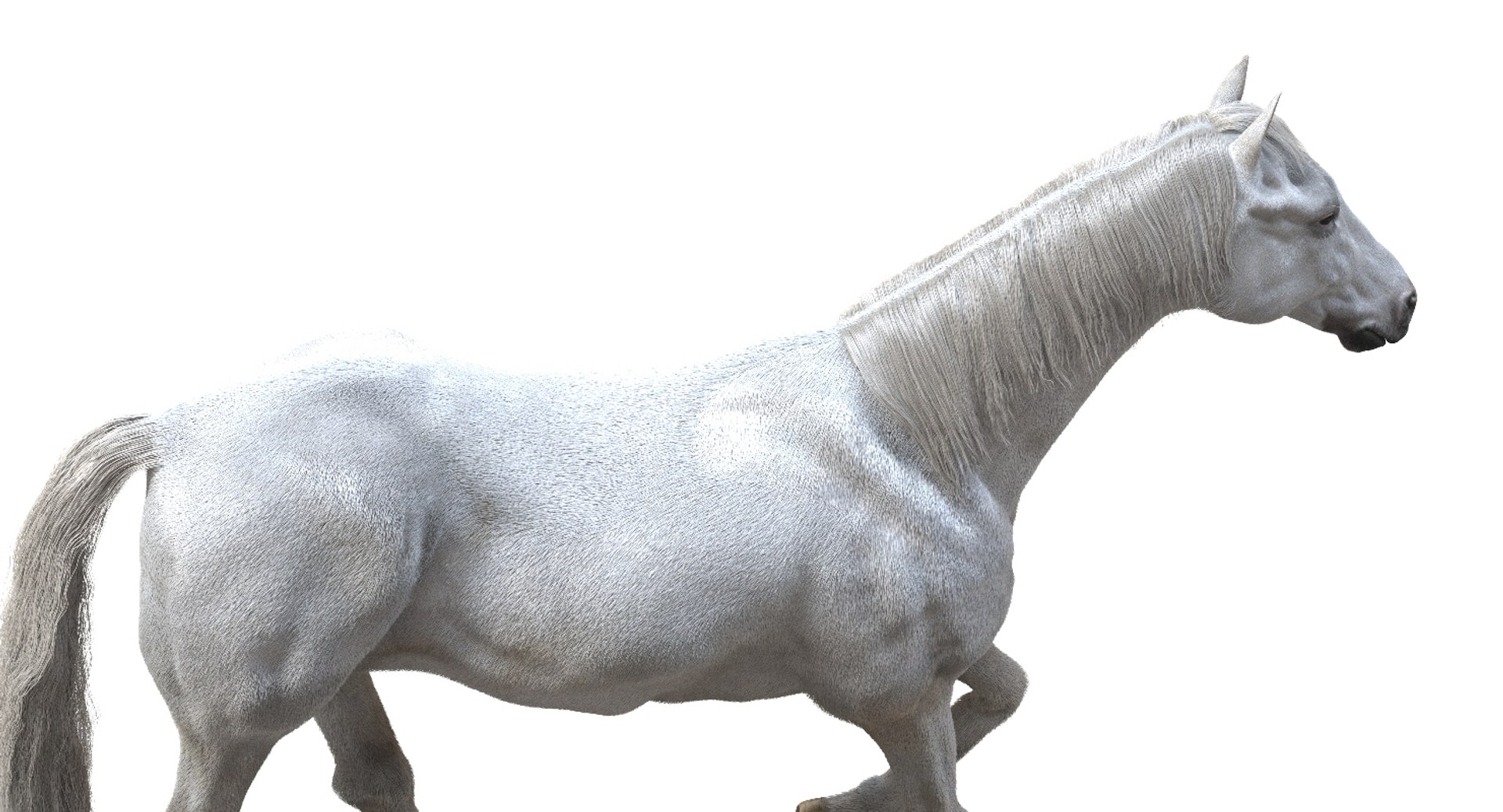 horse rigged 3D model https://p.turbosquid.com/ts-thumb/U8/tDn8B6/h8LMtkOD/11/jpg/1542524487/1920x1080/fit_q87/522baabc14c8cfed594edfc74cfaf86167cab2f3/11.jpg