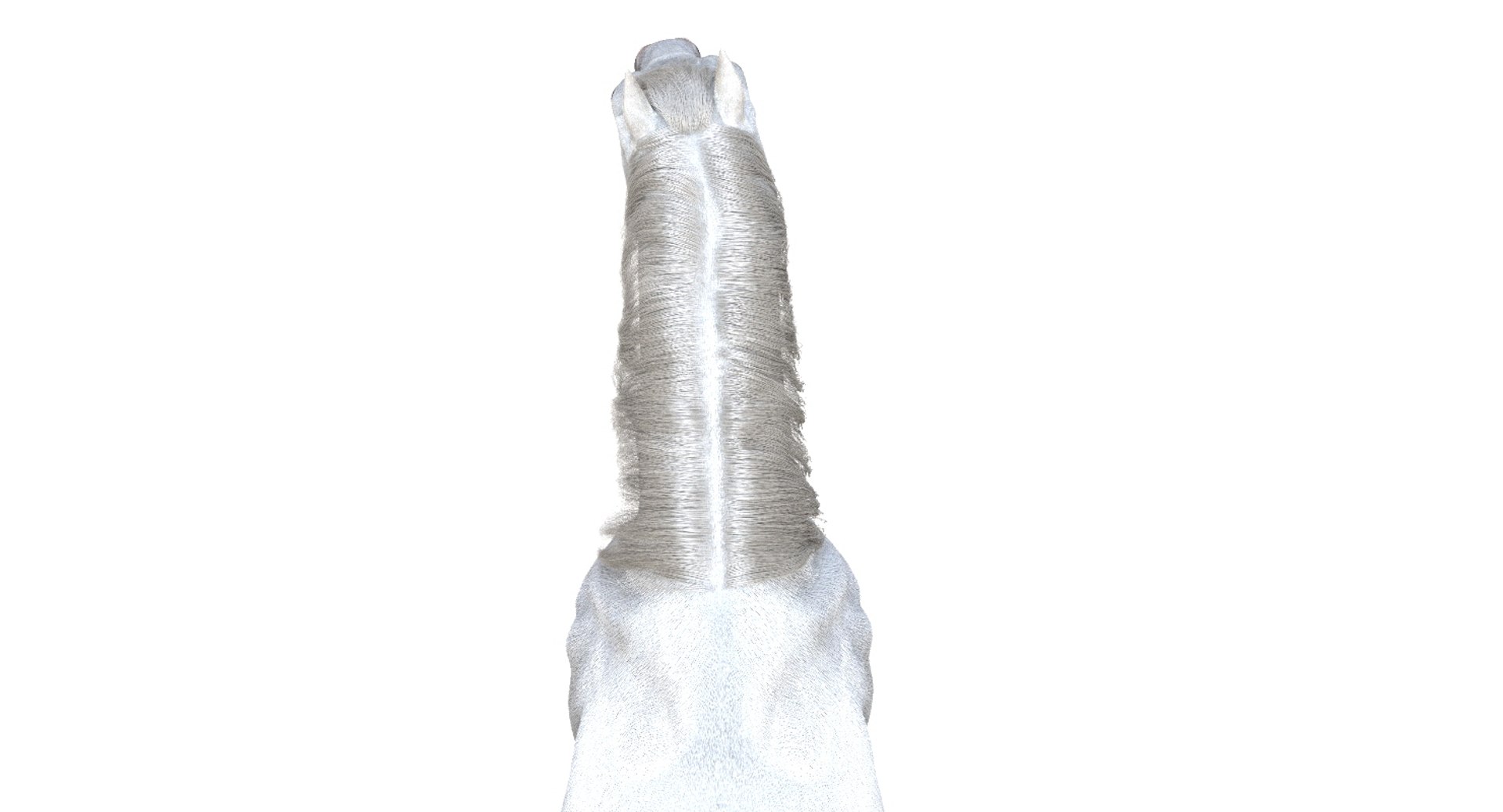 horse rigged 3D model https://p.turbosquid.com/ts-thumb/U8/tDn8B6/hwHzY4I2/13/jpg/1542524487/1920x1080/fit_q87/b846e28146241ad3bb6447249566029af951e649/13.jpg