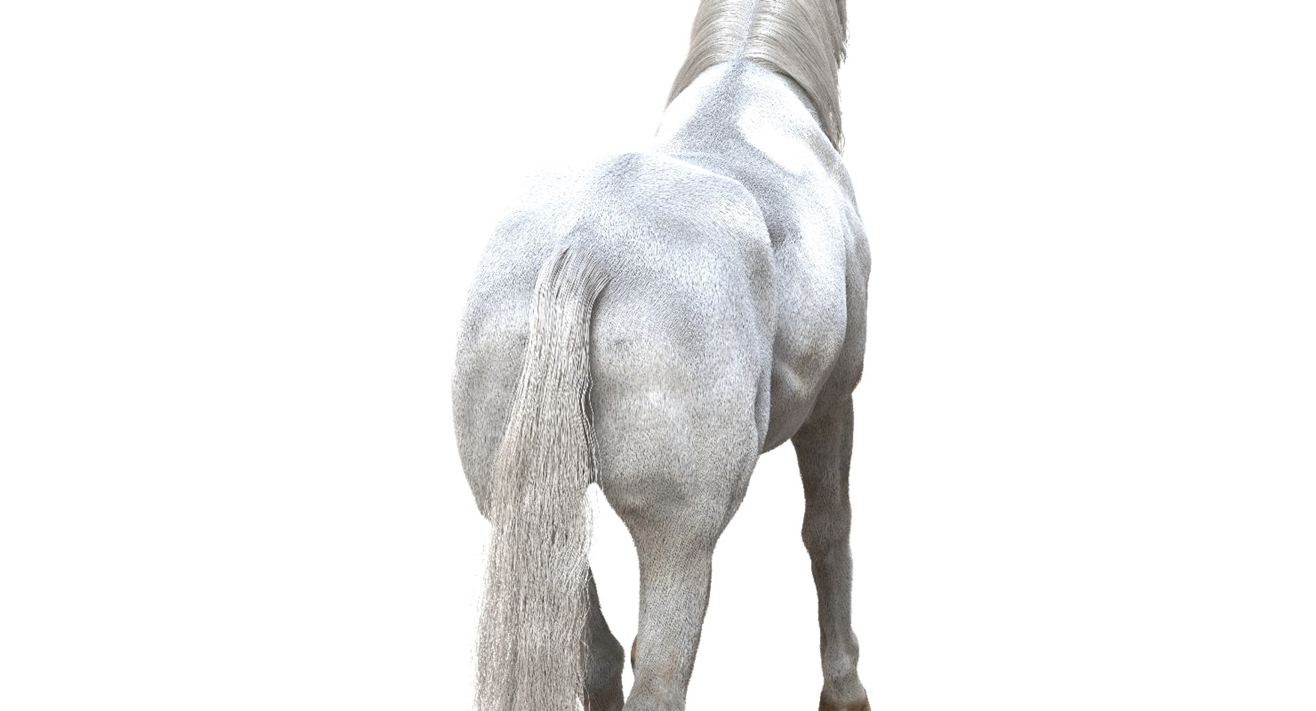 horse rigged 3D model https://p.turbosquid.com/ts-thumb/U8/tDn8B6/jQnq0EMe/12/jpg/1542524487/1920x1080/fit_q87/2415234aa82220dd9256d48873e5c924f1fc3b00/12.jpg