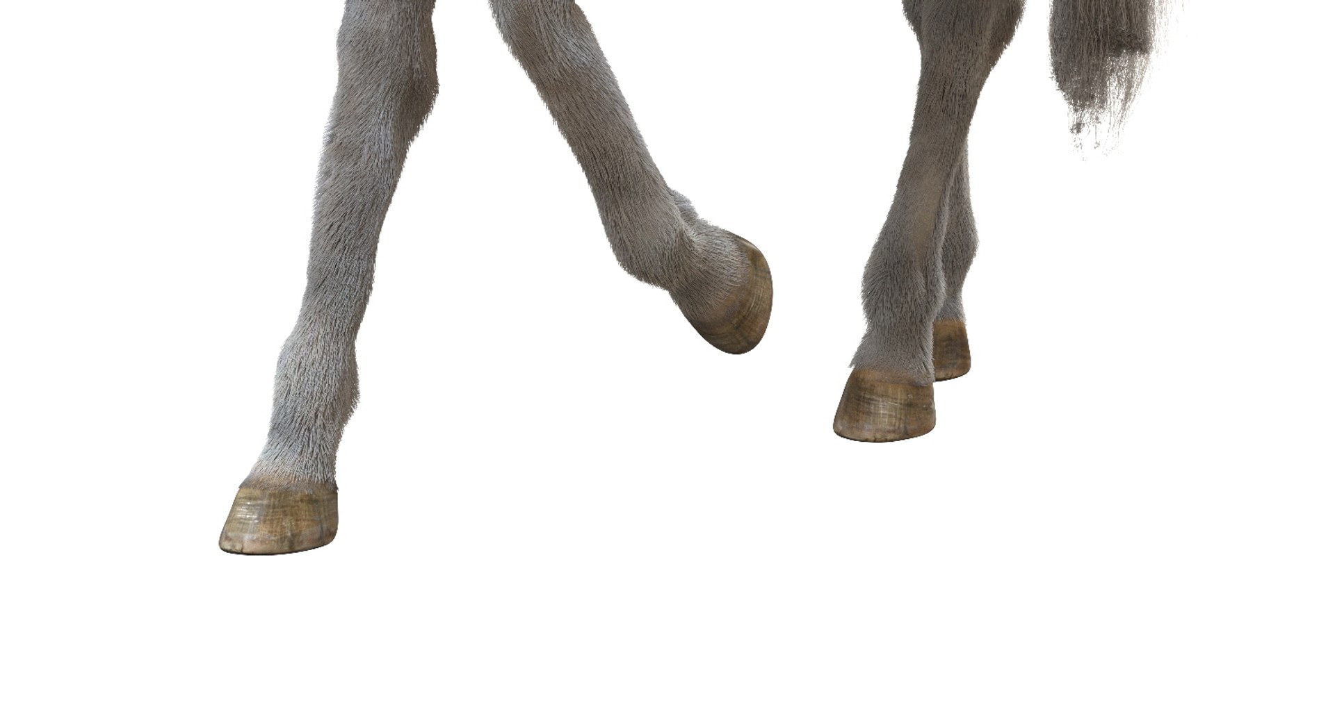 horse rigged 3D model https://p.turbosquid.com/ts-thumb/U8/tDn8B6/uY1ax4Ja/20/jpg/1542524487/1920x1080/fit_q87/2467b091074250948bb743e9ac46375b75278cbe/20.jpg