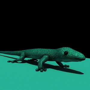 Gecko 3D model