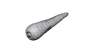 Carrot 3D CT scan model decimate 8 percent 3D