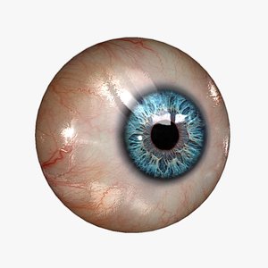 3d model realistic human eye 20