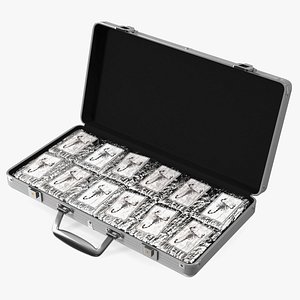 Cocaine Bricks in Briefcase