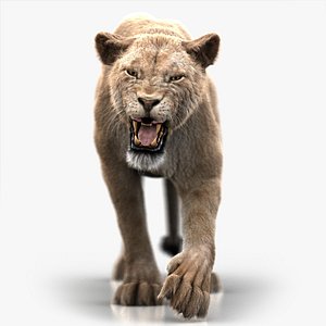 3D model lioness rigged 3 fur