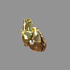 3D Golden Heart red veins