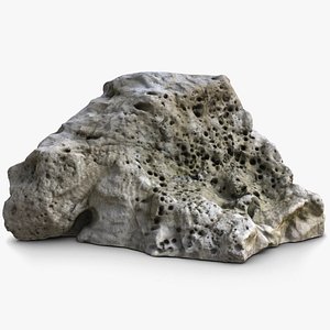coral rock 1 3d model