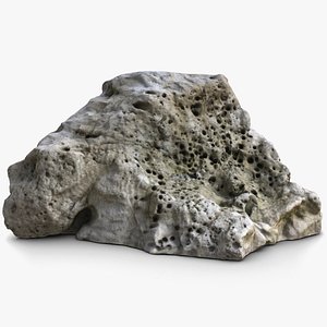 Coral Rock 1 Fossil