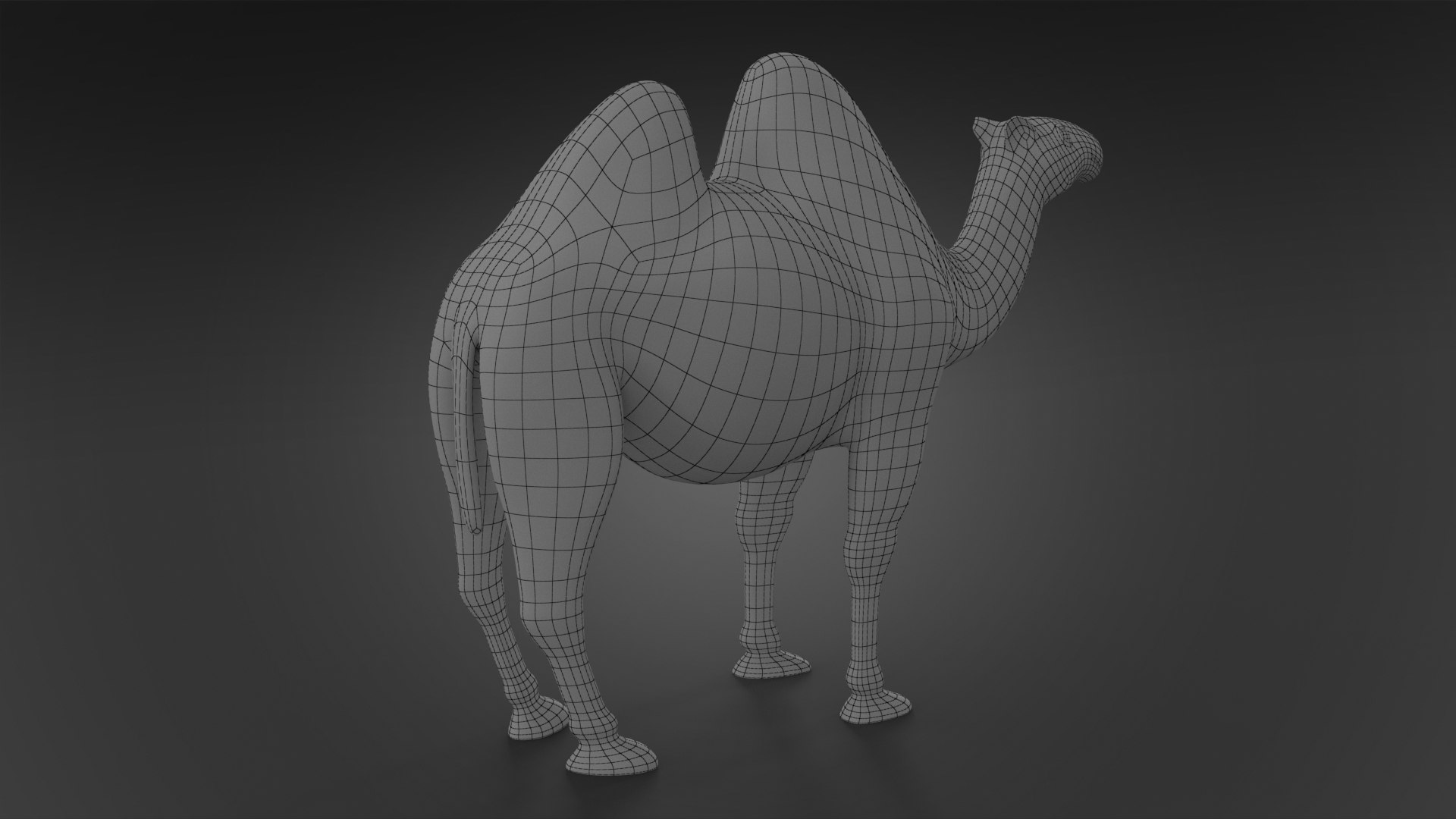 camel max https://p.turbosquid.com/ts-thumb/U9/bACtHa/AqC3t9VC/wireframe_02/jpg/1469090911/1920x1080/fit_q87/4449c20eaed8514e315a0348cdccb45681084eb0/wireframe_02.jpg