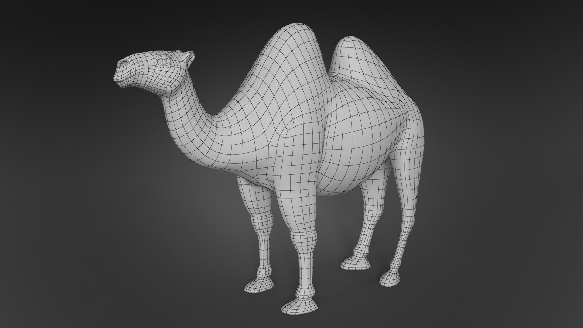 camel max https://p.turbosquid.com/ts-thumb/U9/bACtHa/VWIZ8OUA/wireframe_01/jpg/1469090911/1920x1080/fit_q87/4223f866ed1e91db1862102d5901cd155dbe477d/wireframe_01.jpg