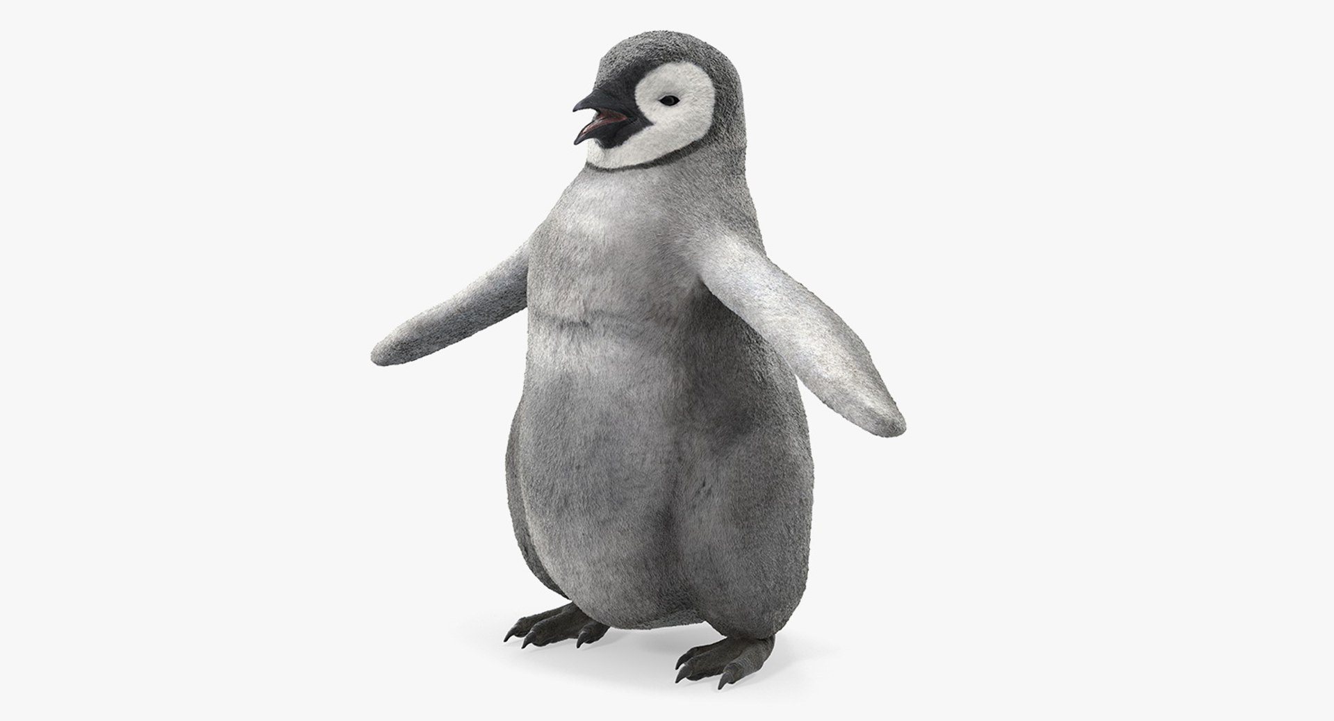 Baby Emperor Penguin T-Pose 3D model preview