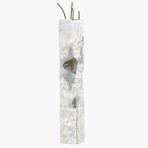 Debris Pillar