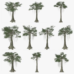 3D Kapok Tree Collection