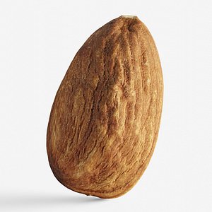 Scanned almond nut