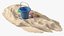 Beach Sand Toys Set