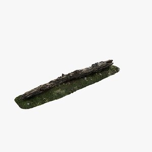 Anydrafts Old fallen tree 02 3D model