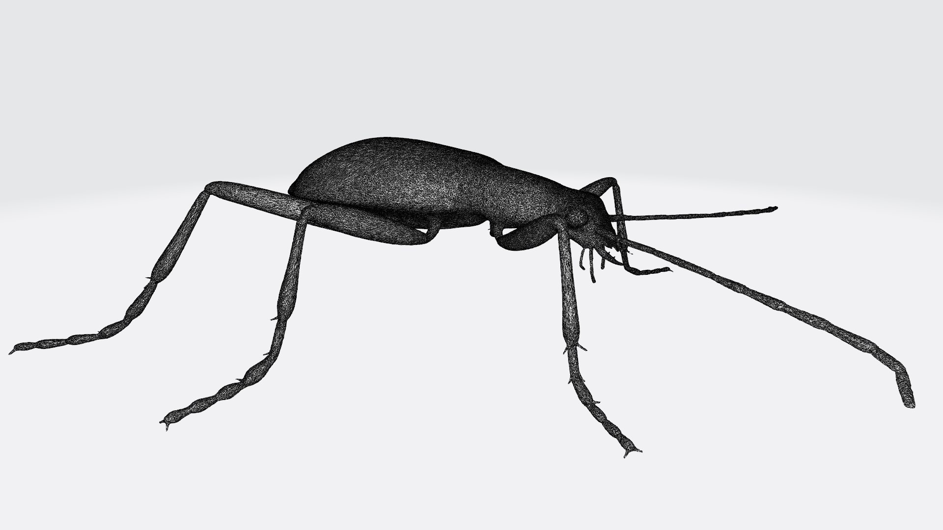 Insects printable 3D model https://p.turbosquid.com/ts-thumb/UA/G2Y496/I8/bombardierbeetle_w1/jpg/1789582038/1920x1080/fit_q87/1ce611d0f519dfdf5e0dae977114f87bd382ec8b/bombardierbeetle_w1.jpg